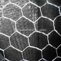 Malla de alambre de pollo hexagonal galvanizada 1 &#39;&#39;